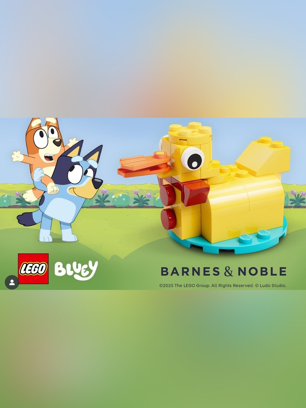 Bluey LEGO Duck Cake Set NEW Barnes & Noble Exclusive